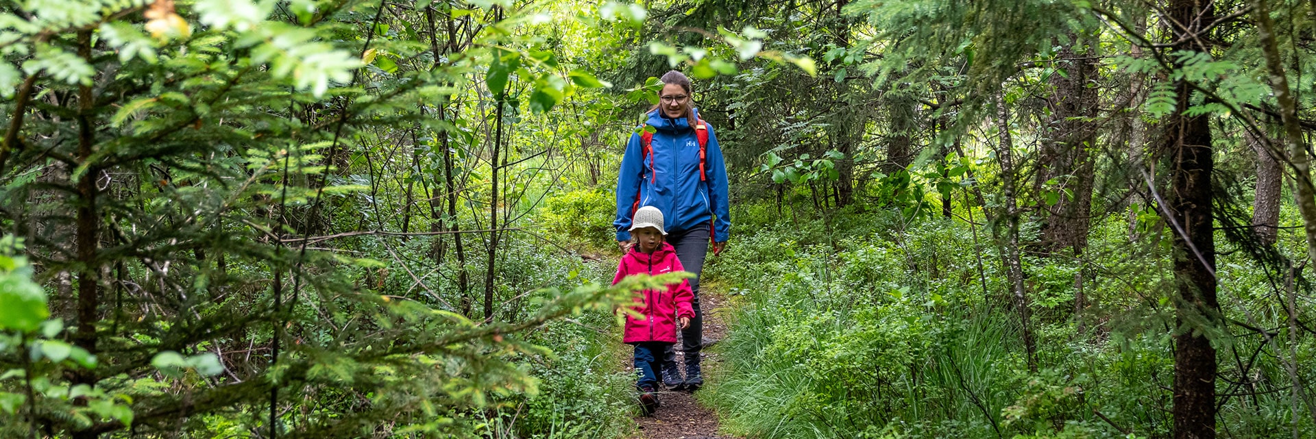 Spiele im Wald: 12 einfache Spielideen für Kinder