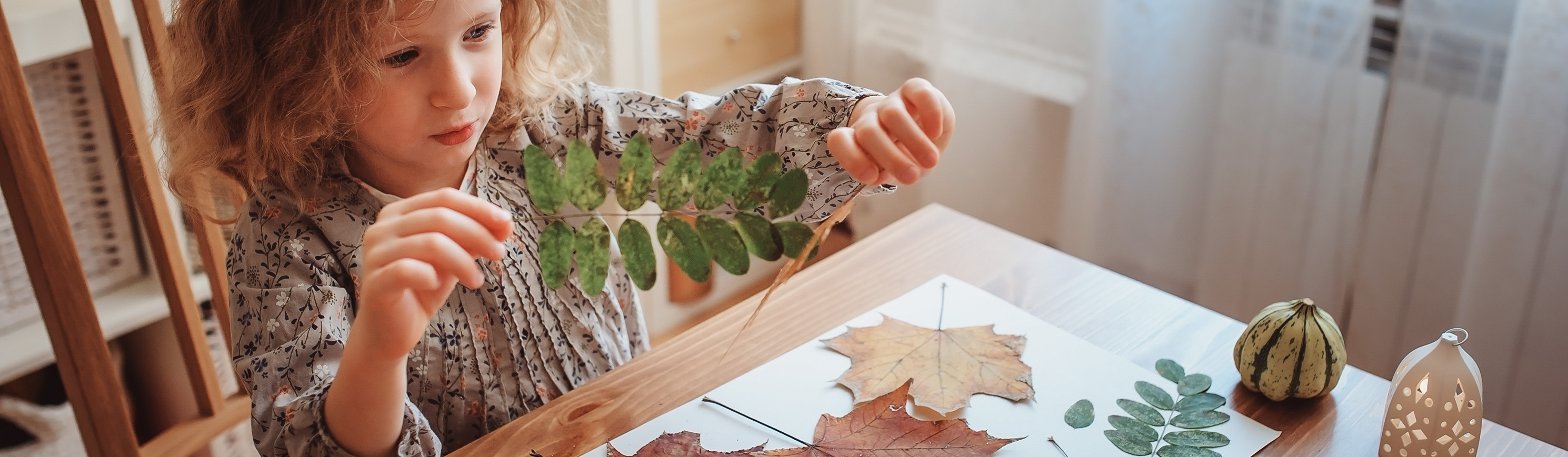 Herbstliches Abenteuer: Gemeinsam ein Herbarium gestalten Kind bastelt ein herbarium