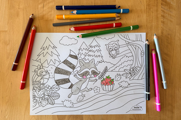 ausmalbild Wanda Waschbär wird ausgemalt