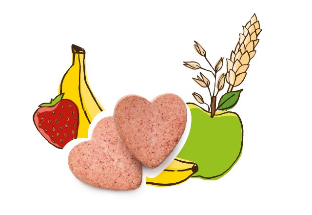Bio Hafer kekse aus Bio Banane, Erdbeeren und Apfel