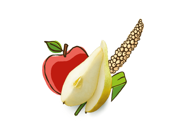 aus bio Birne, Apfel und Hirse