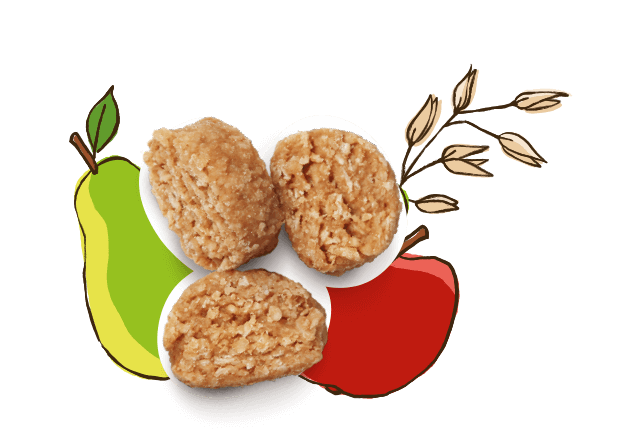 Hafer Happen mit Apfel und Birne