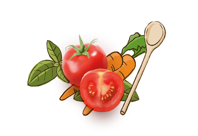Bio Tomaten, Karotte und Basilikum